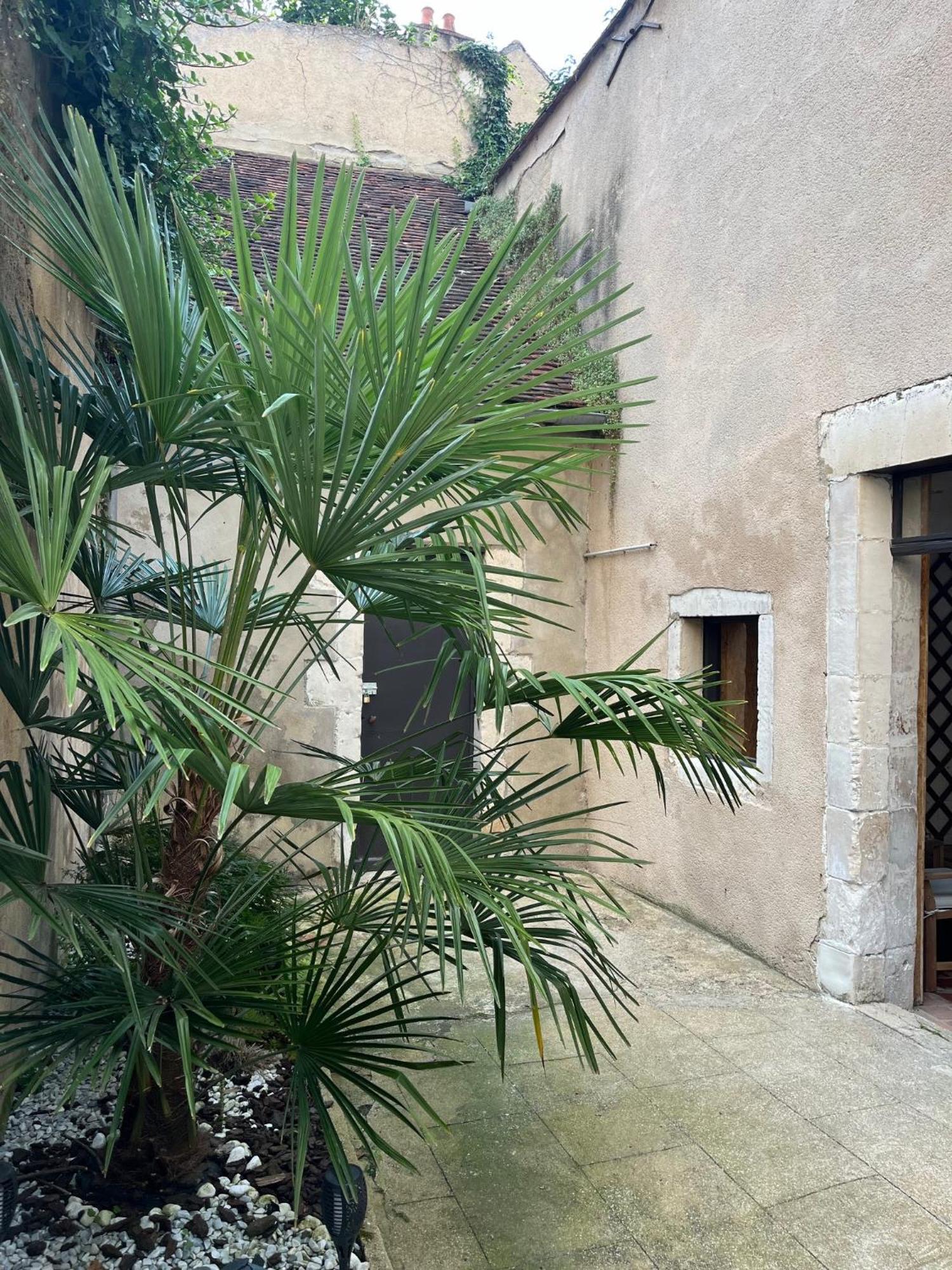 Cosy Appartement Hyper Centre Ville Avec Cour + Patio Auxerre Zewnętrze zdjęcie